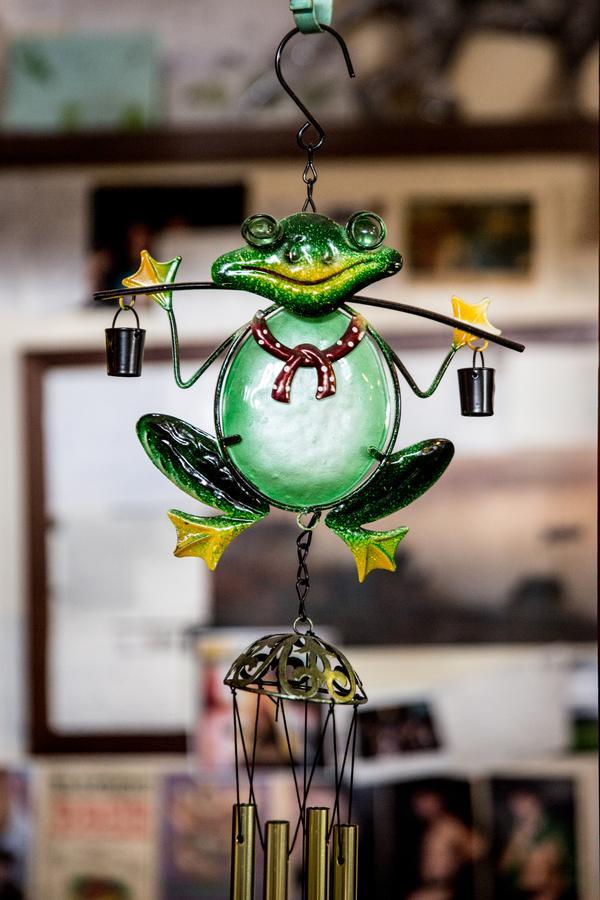 The Pickled Frog Hostel Hobart Buitenkant foto